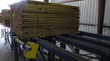 Side view of lumber on Froedge infeed deck